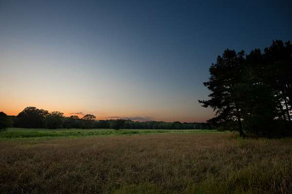 863 Acres of Land for Sale in Big Sandy, Texas