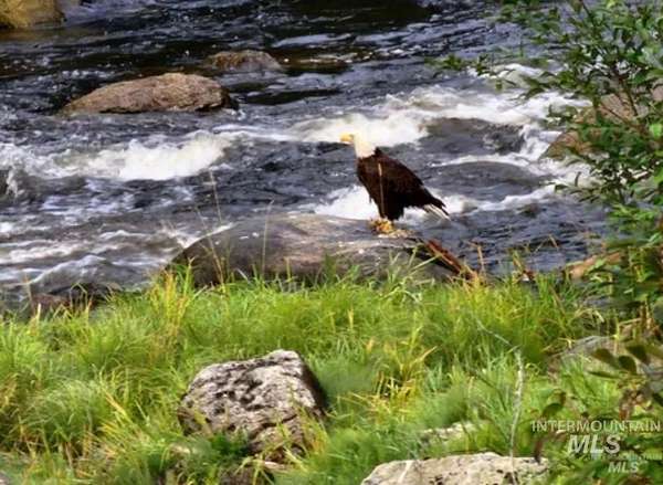 242 Acres of Recreational Land for Sale in Greer, Idaho