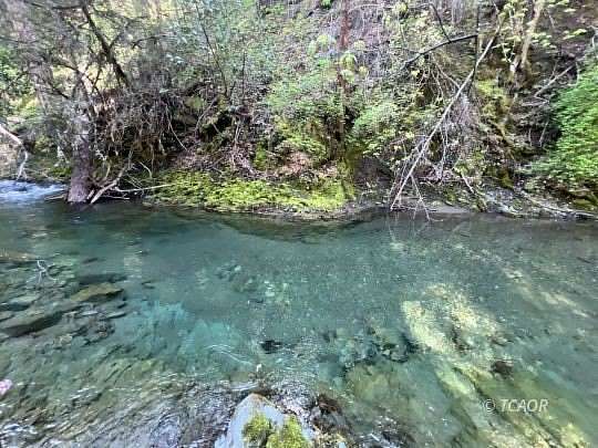 95 Acres of Recreational Land for Sale in Douglas City, California