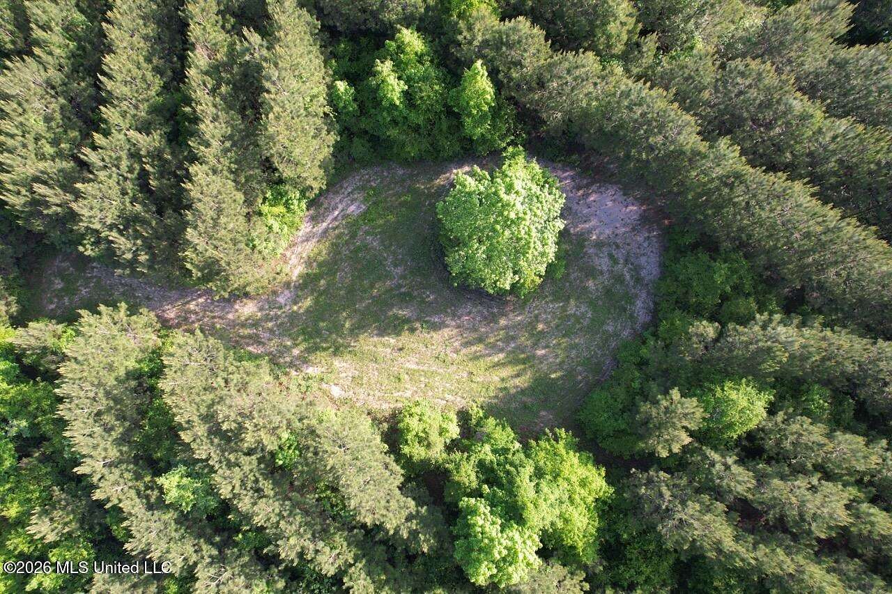 46 Acres of Land with Home for Sale in Greensburg, Louisiana