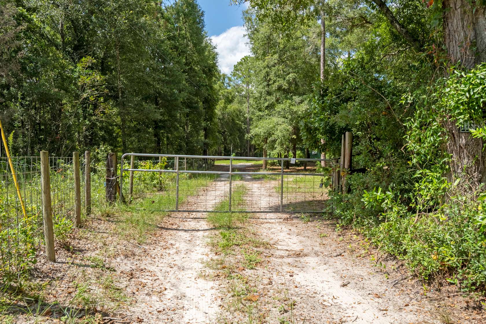 14 Acres of Land for Sale in Bell, Florida