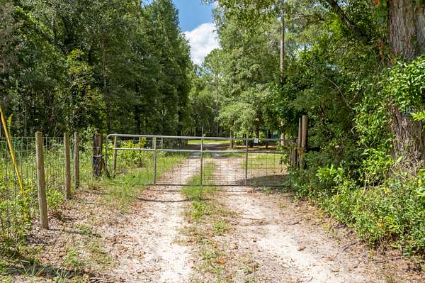 14 Acres of Land for Sale in Bell, Florida