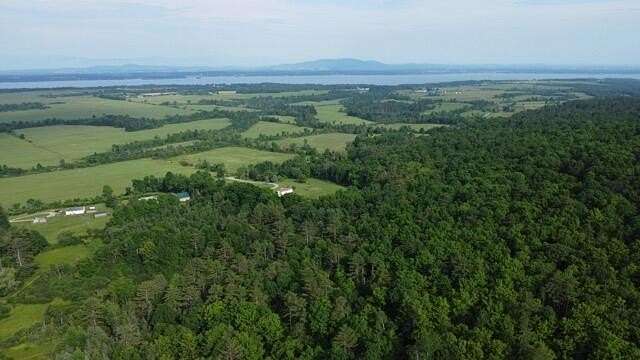 41.3 Acres of Land for Sale in Westport, New York