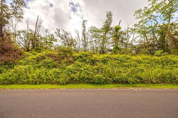 1 Acre of Land for Sale in Pahoa, Hawaii