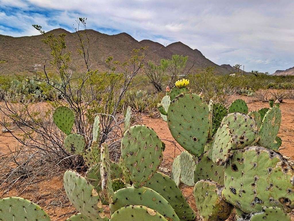 40 Acres of Recreational Land for Sale in Terlingua, Texas