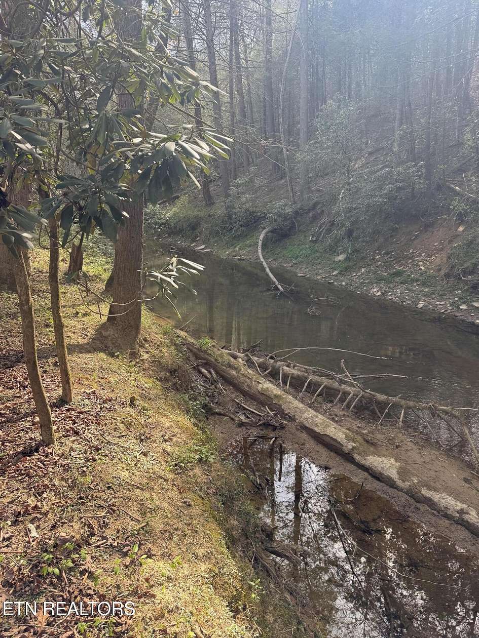 9.22 Acres of Residential Land for Sale in Sunbright, Tennessee