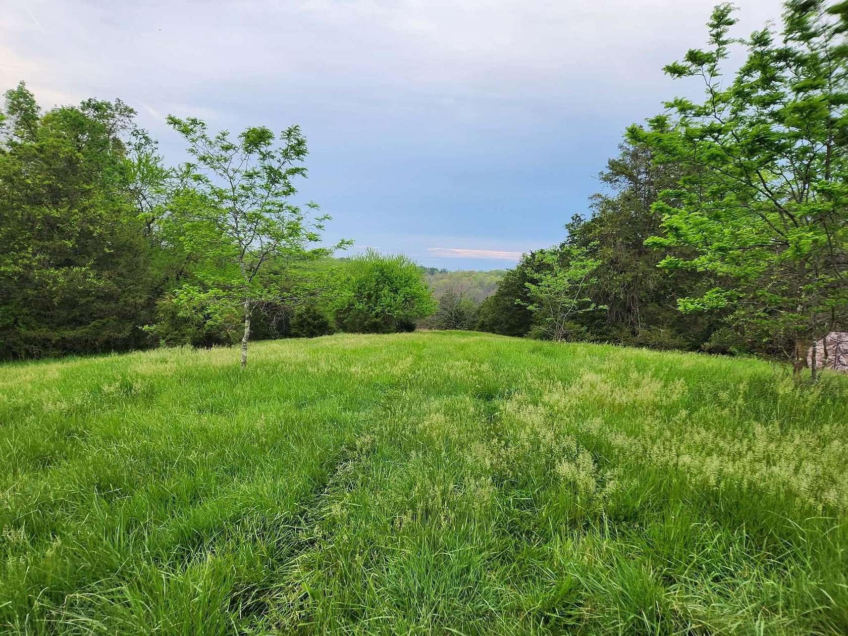 24.6 Acres of Land for Sale in Cynthiana, Kentucky