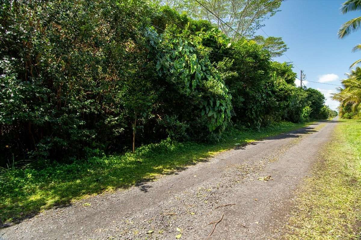 1 Acre of Residential Land for Sale in Keaau, Hawaii