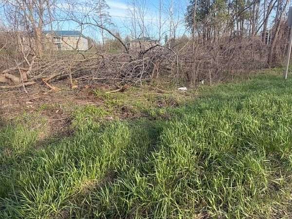 0.5 Acres of Mixed-Use Land for Sale in Grant, Michigan