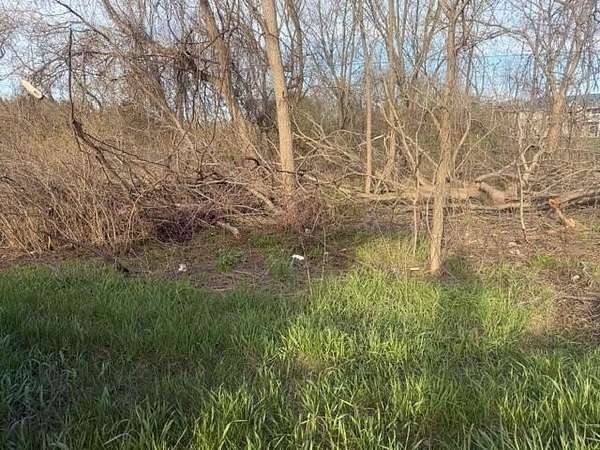 0.5 Acres of Mixed-Use Land for Sale in Grant, Michigan