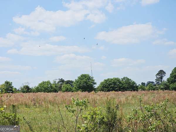 303 Acres of Land for Sale in Ivey, Georgia