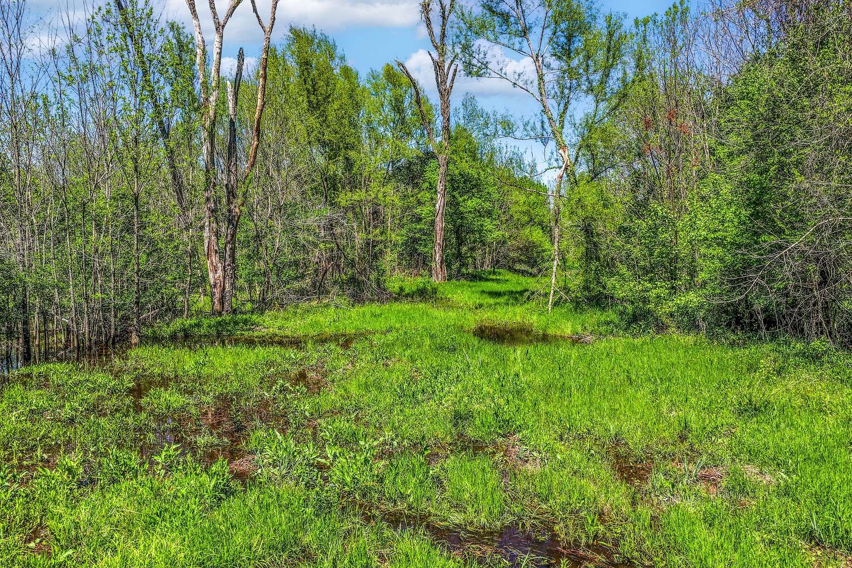 61 Acres of Recreational & Residential Land for Sale in Deport, Texas