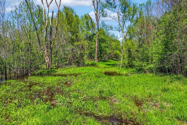 61 Acres of Recreational & Residential Land for Sale in Deport, Texas