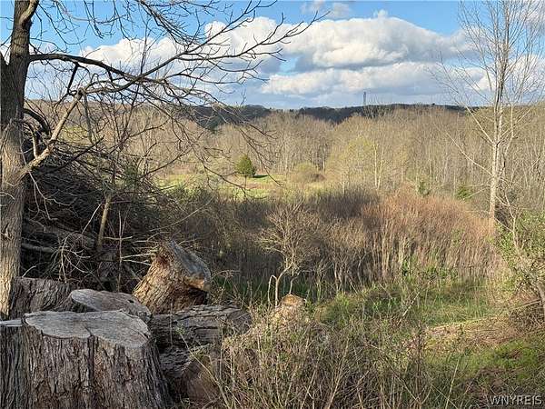 1.39 Acres of Residential Land for Sale in East Aurora, New York