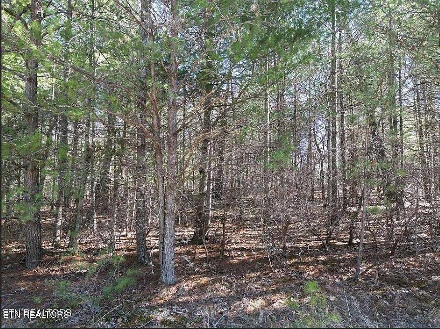 0.26 Acres of Residential Land for Sale in Crossville, Tennessee