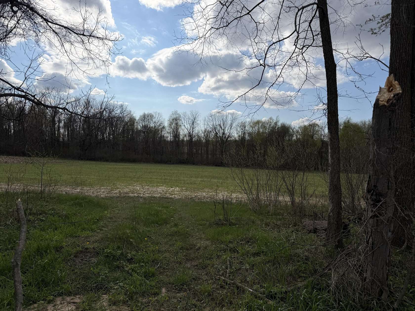 13.3 Acres of Land for Sale in Allegan, Michigan