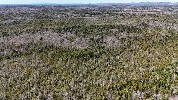 122 Acres of Recreational Land for Sale in Cary, Maine