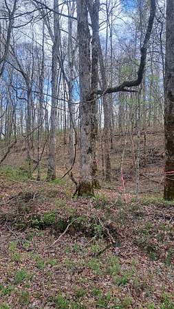 9.18 Acres of Residential Land for Sale in Hohenwald, Tennessee