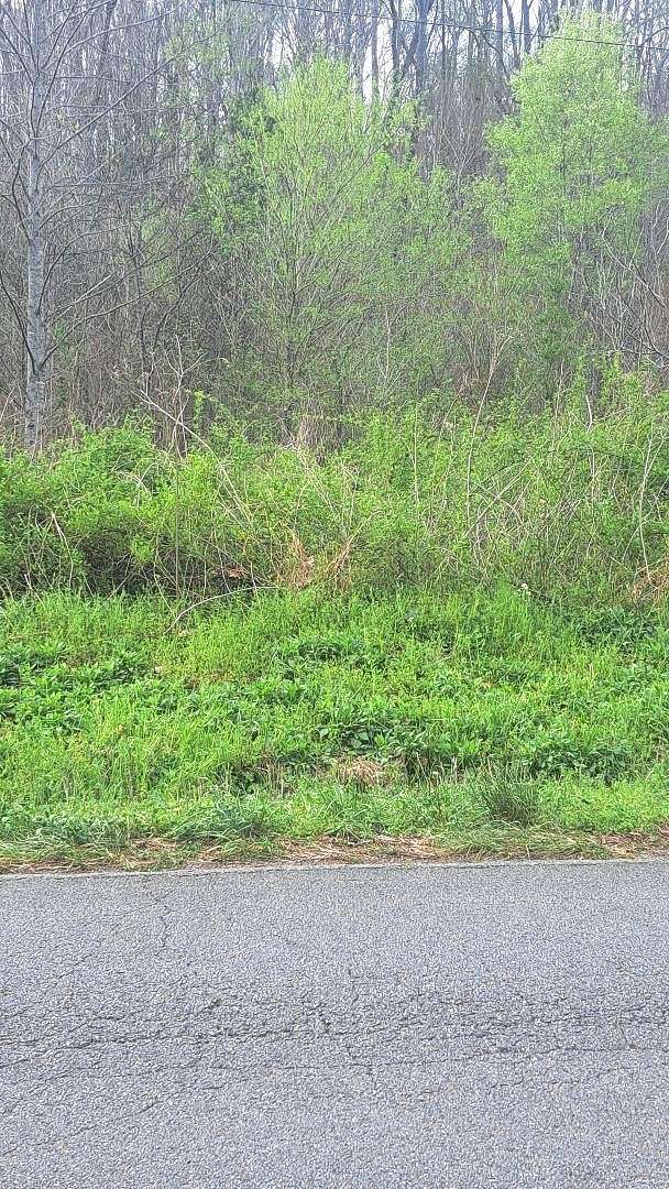 8.25 Acres of Residential Land for Sale in Hohenwald, Tennessee