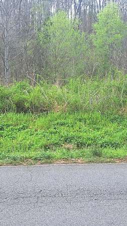 8.25 Acres of Residential Land for Sale in Hohenwald, Tennessee