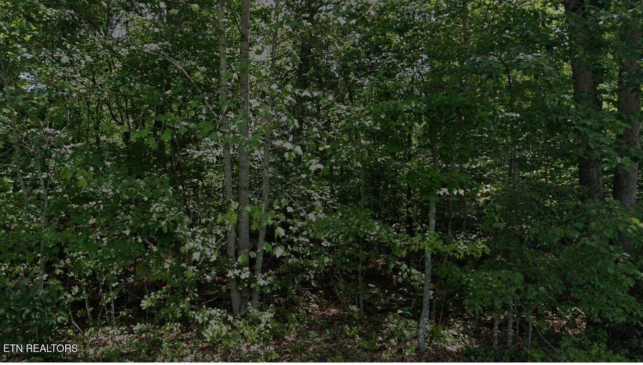 0.26 Acres of Residential Land for Sale in Crossville, Tennessee