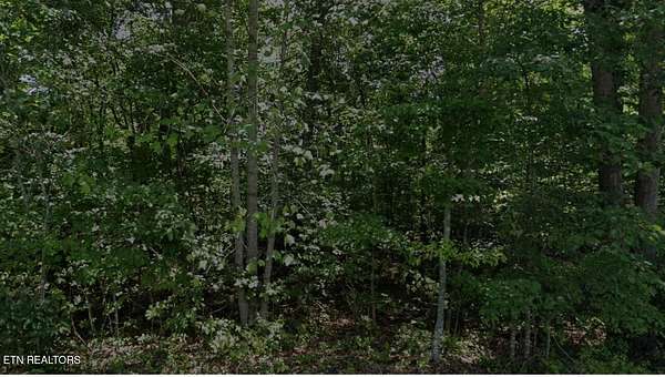 0.26 Acres of Residential Land for Sale in Crossville, Tennessee