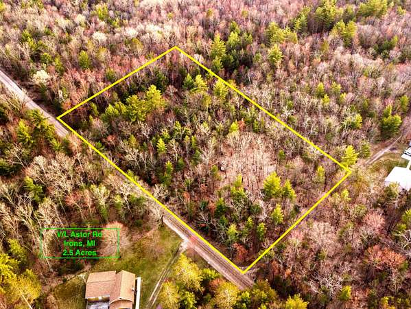 2.5 Acres of Land for Sale in Irons, Michigan