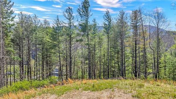 3 Acres of Land for Sale in Lansing, North Carolina