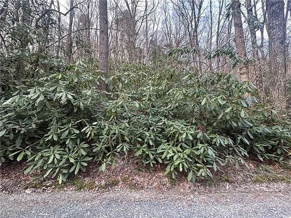 0.31 Acres of Land for Sale in Boone, North Carolina