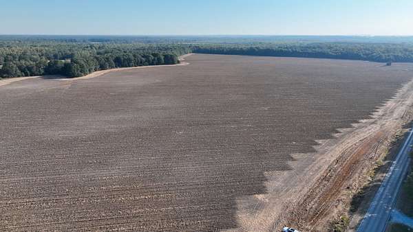 121 Acres of Agricultural Land for Sale in Starkville, Mississippi