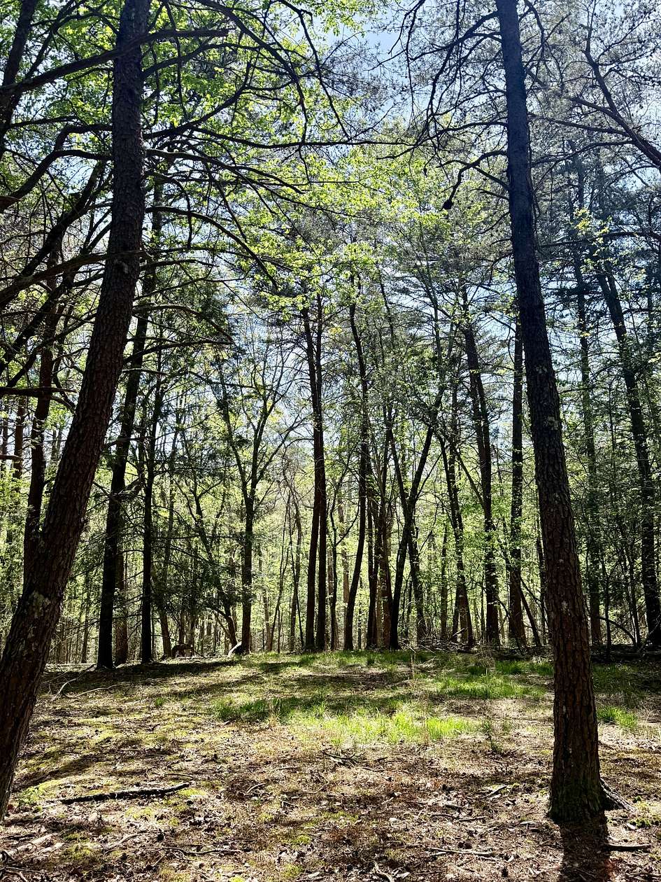 5 Acres of Residential Land for Sale in Monteagle, Tennessee