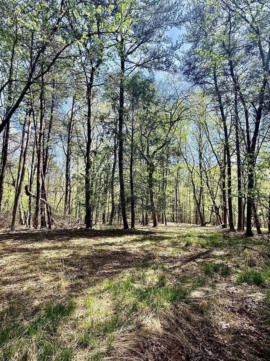 5 Acres of Residential Land for Sale in Monteagle, Tennessee