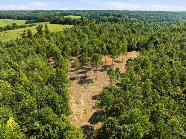 14 Acres of Recreational & Residential Land for Sale in Dover, Tennessee