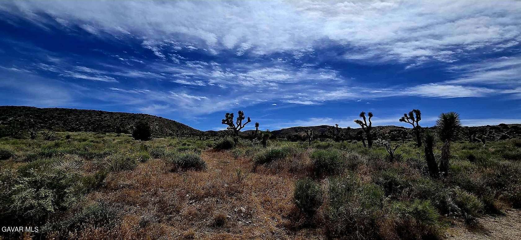 26 Acres of Recreational & Residential Land for Sale in Littlerock, California