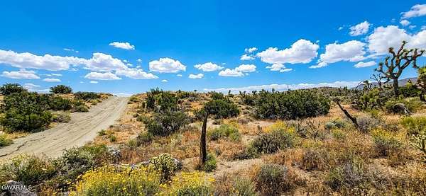 26 Acres of Recreational & Residential Land for Sale in Littlerock, California