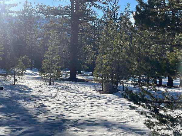 Residential Land for Sale in South Lake Tahoe, California