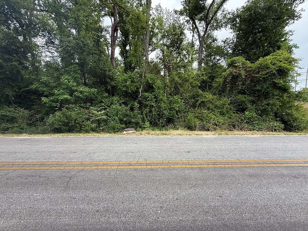 5.25 Acres of Residential Land for Sale in Swainsboro, Georgia