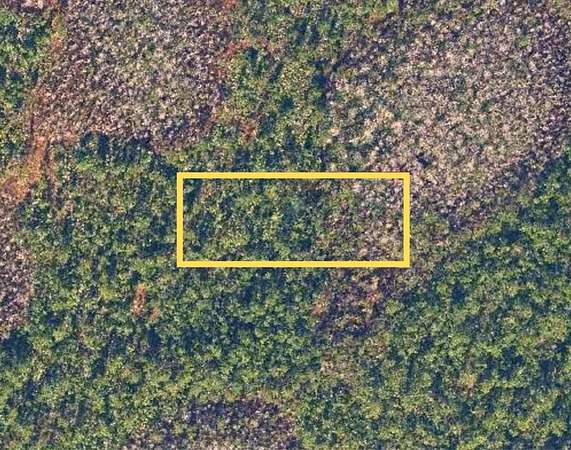 1 Acre of Residential Land for Sale in Christmas, Florida