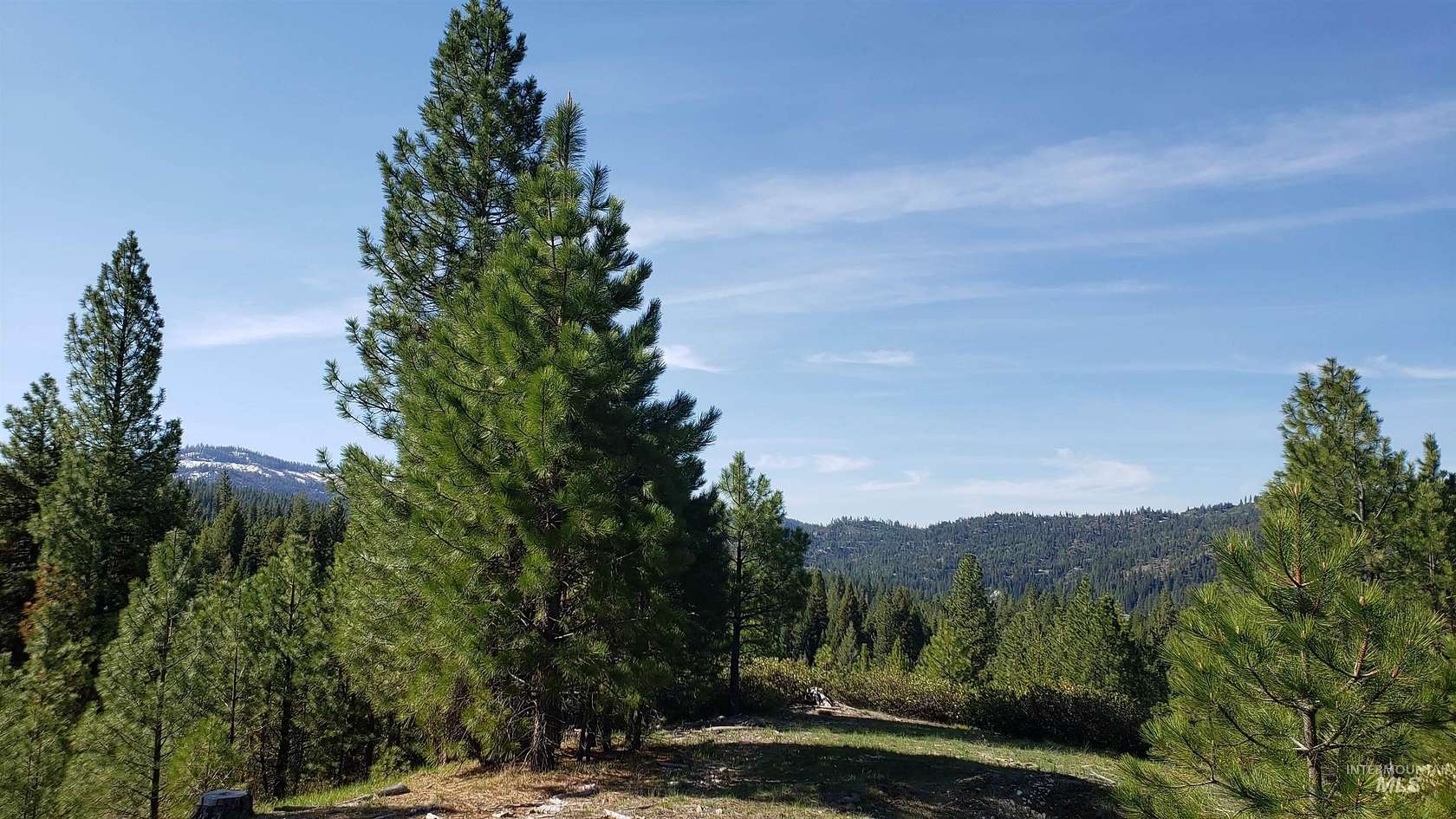 20 Acres of Recreational & Residential Land for Sale in Smiths Ferry, Idaho