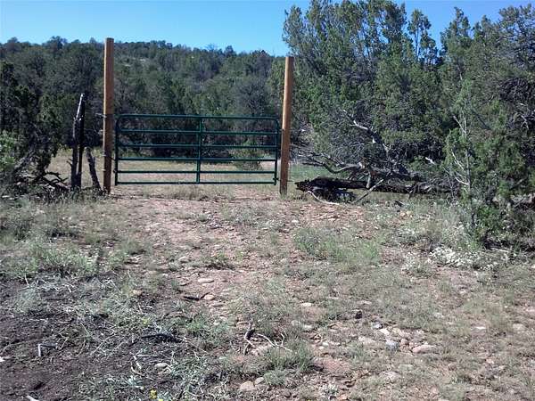 1 Acre of Residential Land for Sale in Ilfeld, New Mexico