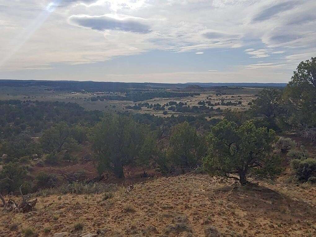 40 Acres of Recreational & Residential Land for Sale in Lindrith, New Mexico