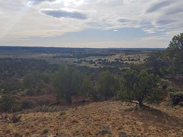 40 Acres of Recreational & Residential Land for Sale in Lindrith, New Mexico