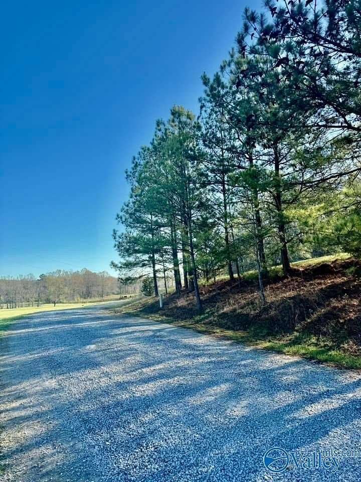 Residential Land for Sale in Ashville, Alabama