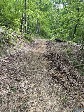 12 Acres of Recreational Land for Sale in Grant, Alabama