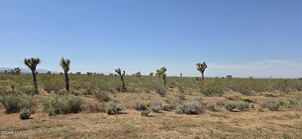 2.5 Acres of Mixed-Use Land for Sale in Llano, California