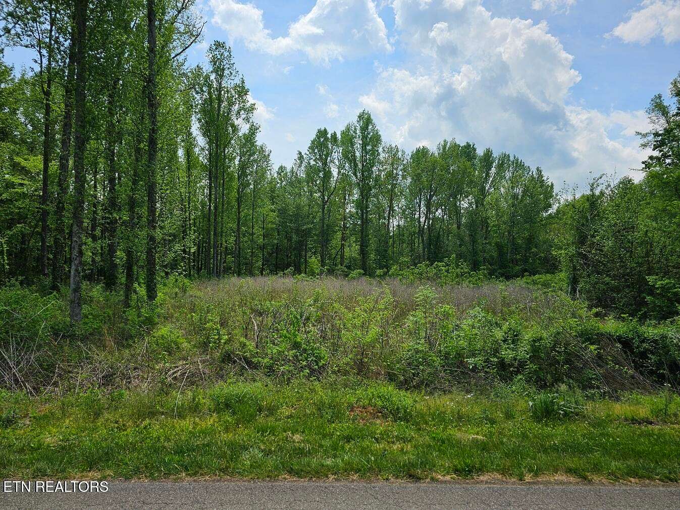 5 Acres of Residential Land for Sale in Sweetwater, Tennessee