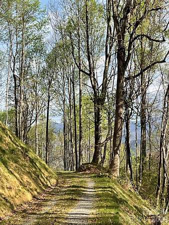 3.88 Acres of Residential Land for Sale in Swannanoa, North Carolina