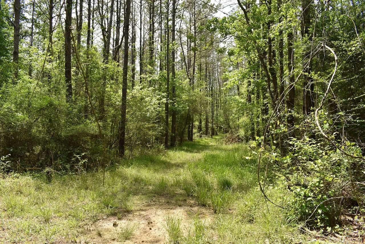 902 Acres of Recreational & Residential Land for Sale in Springfield, Louisiana