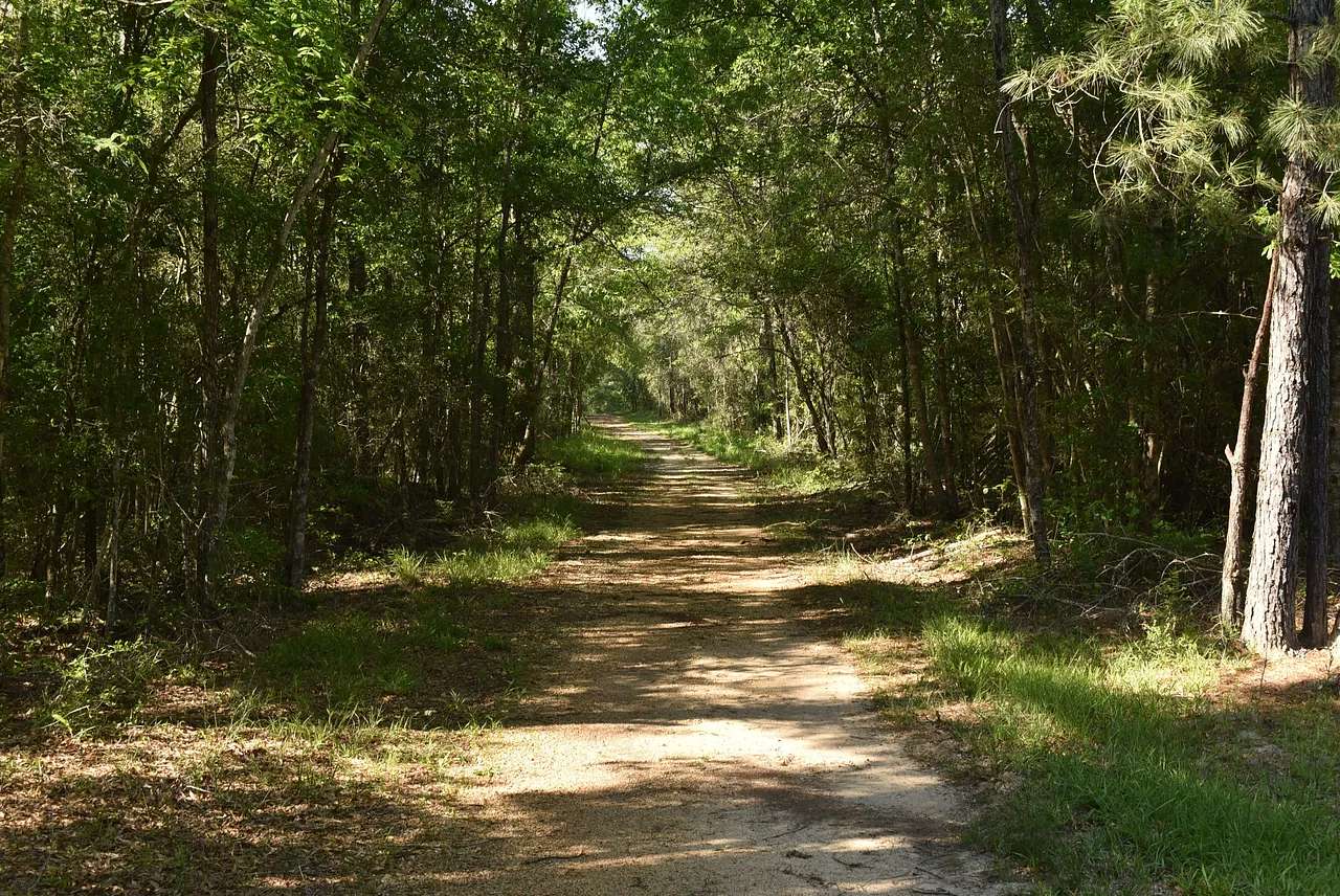 220 Acres of Recreational & Residential Land for Sale in Loranger, Louisiana