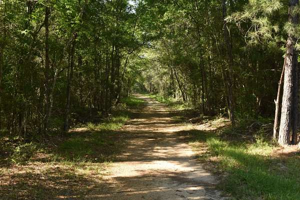 220 Acres of Recreational & Residential Land for Sale in Loranger, Louisiana